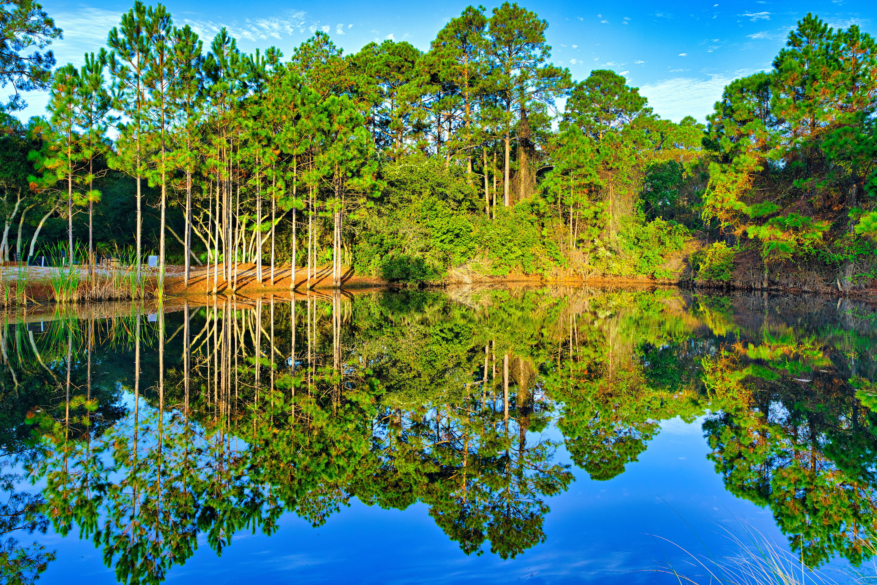 Gorgeous Scenery 