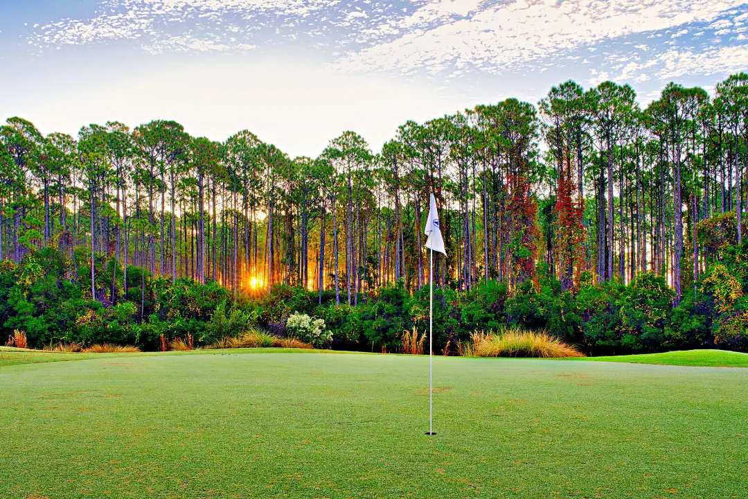 Sunrise through the pines behind a putting green and pin flag at St. James Bay Golf Resort on the Forgotten Coast