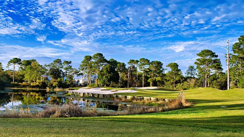 Florida Golf Course Elevated Tee Box Fairway View