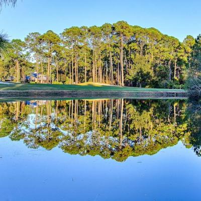 Course pond