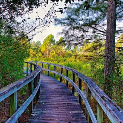 Bridge